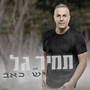 יש כאב