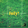 JULY! (feat. SwayDaDonn, ASSATA, Fitts & LickOwens) [Explicit]