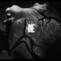 oiseaux (Explicit)