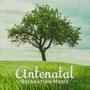 Antenatal Relaxation Music