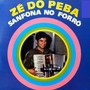 Zé do Peba - Sanfona no forró