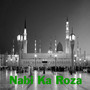 Nabi Ka Roza