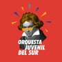 Orquesta Juvenil del Sur