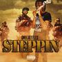 STEPPIN (Explicit)