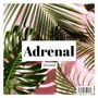 Adrenal