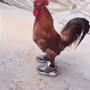 No sabemos donde pero (Explicit)