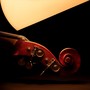 Bass