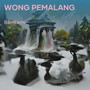 Wong Pemalang