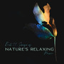 Best 15 Songs of Nature's Relaxing Music