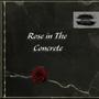 Rose in the Concrete (Explicit)