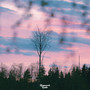 dawn