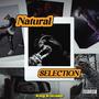 Natural Selection (Explicit)