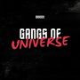 Gangs of Universe