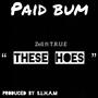 These Hoes (feat. Zell & T.R.U.E) [Explicit]