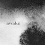 Awake