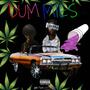 Dummies (feat. W.S.S Raid) [Explicit]