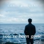 You've Been Gone (Radiocut)