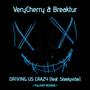 Driving Us Crazy (feat. Steelyvibe) [with Breaktur]