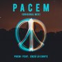 Pacem (Original Mix)