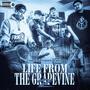 Life From The Grapevine (Explicit)