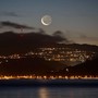 Under the New Zealand Moon