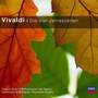 Concerto in G minor, R.577 - per lOrchestra di Dresda