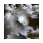 FiNd OuT (Explicit)