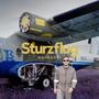 Sturzflug (Explicit)