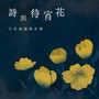 诗与待宵花 - 日系疗愈轻音乐