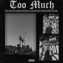 Too Much (Explicit)