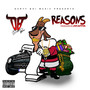 Reasons (Explicit)