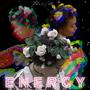 Energy (Explicit)