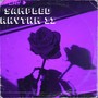 Sampled Rhythm II