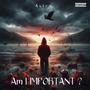 Am I IMPORTANT ? EP (Explicit)