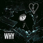 Why (Explicit)