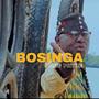 BOSINGA (Explicit)