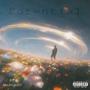 Potential (Explicit)