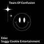 Tears Of Confusion (Explicit)