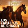 LOS CABALLOS DE CHAGUY