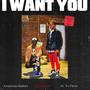 I want you (feat. Ty flexx)