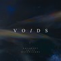 Voids