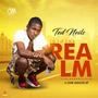 Into the Realm (Explicit)