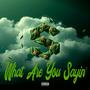 What are you Sayin (Explicit)