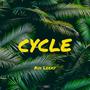 CYCLE (Explicit)