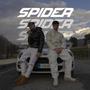 SPIDER (feat. Beggio)