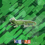 Iguana (Explicit)