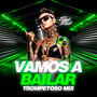 VAMOS A BAILAR (TROMPETOSO MIX)