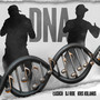 DNA