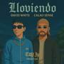 Lloviendo