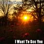 I Want To See You (feat. Elilo)
